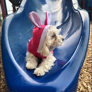 Meet your Posher, Cinthia